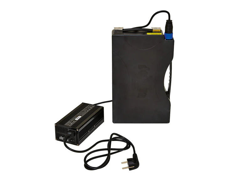 GreenStreet GreenStreet Elektro-Roller »SEED«, mit Lithium-Ionen-Akku, Eco-Modus, 50 km Reichweite