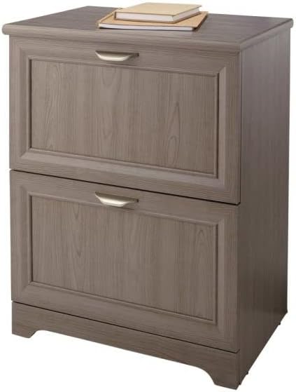 Realspace Magellan 24"W 2-Drawer Lateral File Cabinet, Gray