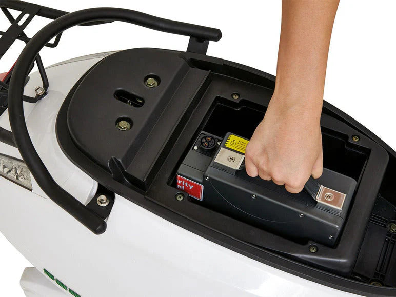 GreenStreet GreenStreet Elektro-Roller »SEED«, mit Lithium-Ionen-Akku, Eco-Modus, 50 km Reichweite